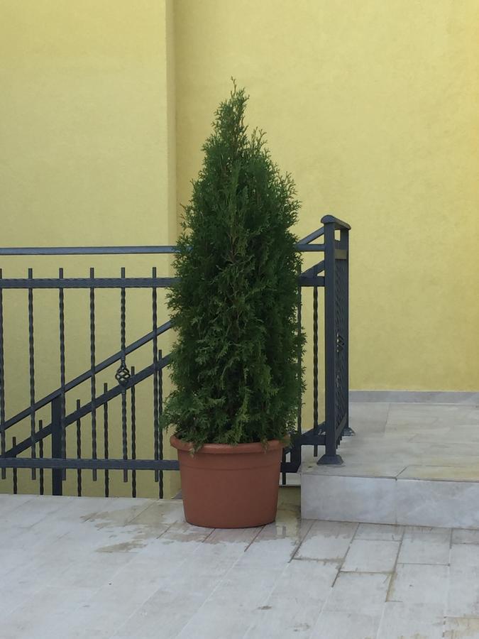 Apartments Albina Star Μπούντβα Εξωτερικό φωτογραφία